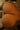 🔹CLM Classic🔹R3 Gold Big Sex Butt Torso(74cm width) Super Fat Big Butt